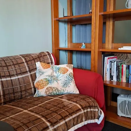 The Little Nest 리스본